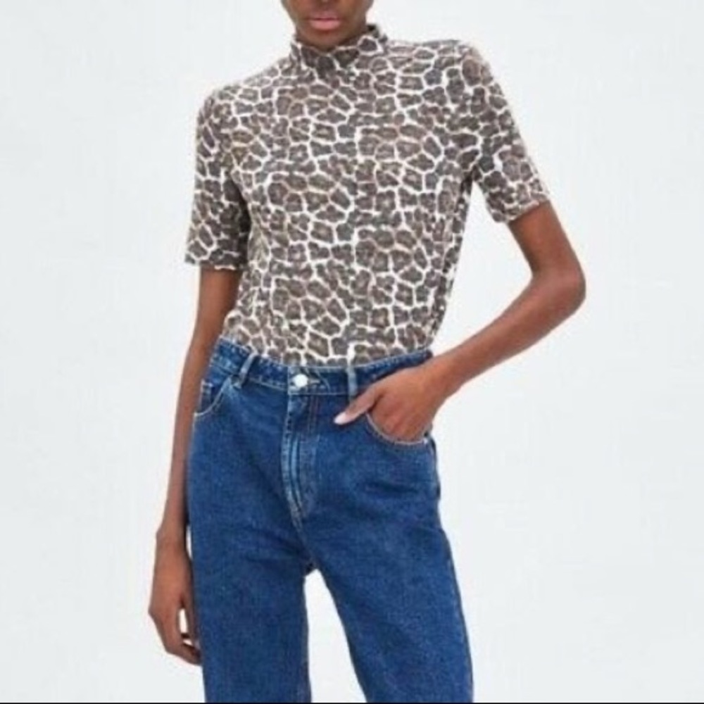 Zara Leopard print short sleeve knit